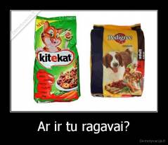 Ar ir tu ragavai? - 