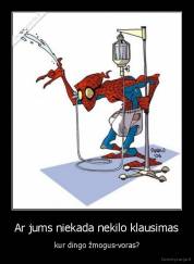 Ar jums niekada nekilo klausimas - kur dingo žmogus-voras?