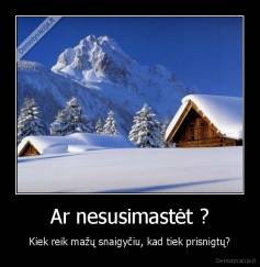 Ar nesusimastėt ? - Kiek reik mažų snaigyčiu, kad tiek prisnigtų?