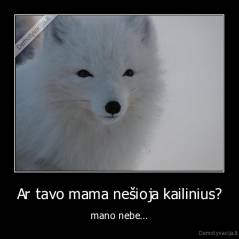 Ar tavo mama nešioja kailinius? - mano nebe...