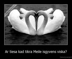 Ar tiesa kad tikra Meile isgyvens viska? - 