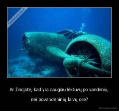 Ar žinojote, kad yra daugiau lėktuvų po vandeniu, - nei povandeninių laivų ore?