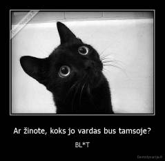 Ar žinote, koks jo vardas bus tamsoje? - BL*T