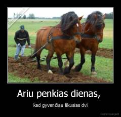 Ariu penkias dienas - kad gyvenčiau likusias dvi