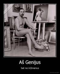 Aš Genijus - bet ne inžinierius