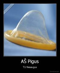 AŠ Pigus - TU Nesaugus