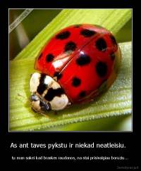 As ant taves pykstu ir niekad neatleisiu.   - tu man sakei kad braskes raudonos, na stai prisivalgiau boruziu...
