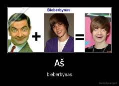 Aš - bieberbynas