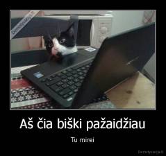Aš čia biški pažaidžiau - Tu mirei