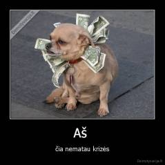 Aš  - čia nematau krizės