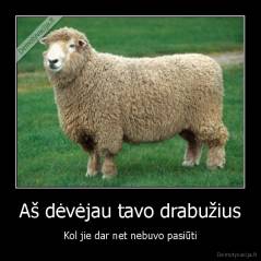 Aš dėvėjau tavo drabužius - Kol jie dar net nebuvo pasiūti
