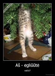 Aš - egliūūtė - netiki?