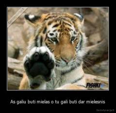 As galiu buti mielas o tu gali buti dar mielesnis - 