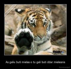 As galiu buti mielas o tu gali buti ddar mielesnis - 