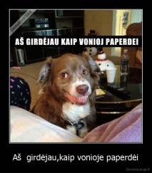 Aš  girdėjau,kaip vonioje paperdėi - 