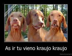As ir tu vieno kraujo kraujo - 