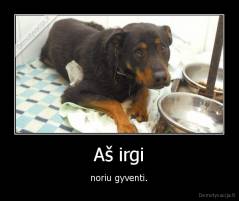 Aš irgi - noriu gyventi.