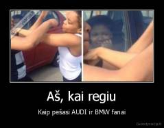 Aš, kai regiu - Kaip pešasi AUDI ir BMW fanai