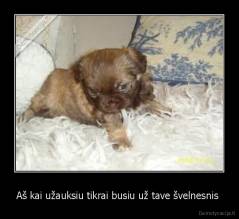 Aš kai užauksiu tikrai busiu už tave švelnesnis  - 