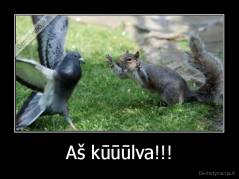 Aš kūūūlva!!! - 