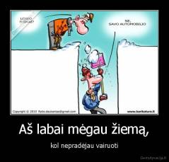 Aš labai mėgau žiemą, - kol nepradėjau vairuoti