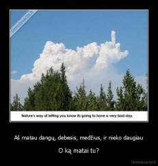 Aš matau dangų, debesis, medžius, ir nieko daugiau - O ką matai tu?