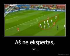 Aš ne ekspertas, - bet...