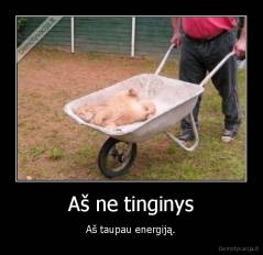 Aš ne tinginys - Aš taupau energiją.