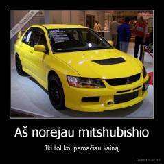 Aš norėjau mitshubishio - Iki tol kol pamačiau kainą