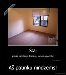 Aš patinku nindzėms! - 