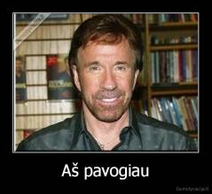 Aš pavogiau - 