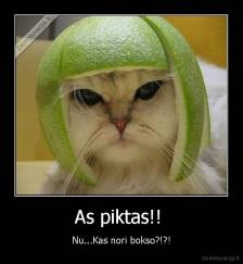 As piktas!!  - Nu...Kas nori bokso?!?!