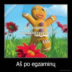 Aš po egzaminų - 