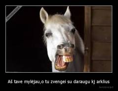 Aš tave mylėjau,o tu zvengei su daraugu kj arklius - 