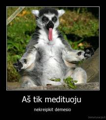 Aš tik medituoju  - nekreipkit dėmesio 