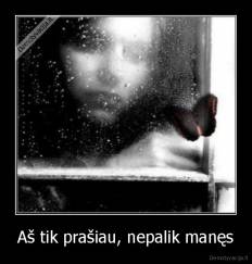Aš tik prašiau, nepalik manęs - 