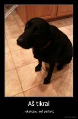 Aš tikrai - nekakojau ant parketo