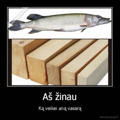 Aš žinau - Ką veikei aną vasarą