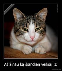 Aš žinau ką šiandien veikiai :D - 