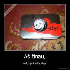 Aš žinau, - kad joje kažką slepi.