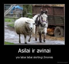 Asilai ir avinai - yra labai labai skirtingi žmonės