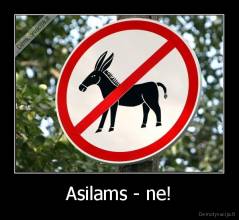 Asilams - ne! - 