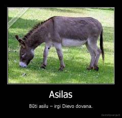 Asilas - Būti asilu – irgi Dievo dovana.