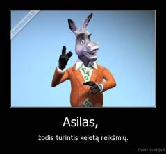 Asilas,  - žodis turintis keletą reikšmių.