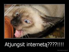 Atjungsit internetą????!!!! - 