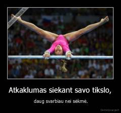 Atkaklumas siekant savo tikslo, -  daug svarbiau nei sėkmė.