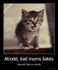 Atrodė, kad mums šakės - pasirodo kad ne atrodė