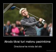 Atrodo tikrai turi malonu pasirinkima  - Directioner'es mirsta del sito