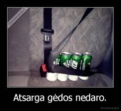 Atsarga gėdos nedaro. - 