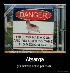 Atsarga - jos niekada nebus per mažai